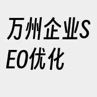 万州企业SEO优化