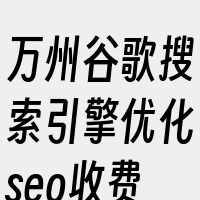 万州谷歌搜索引擎优化seo收费