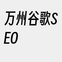 万州谷歌SEO