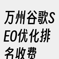 万州谷歌SEO优化排名收费