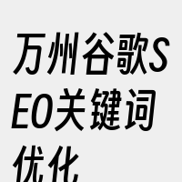 万州谷歌SEO关键词优化