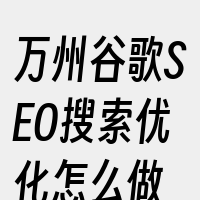 万州谷歌SEO搜索优化怎么做