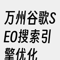 万州谷歌SEO搜索引擎优化