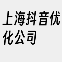 上海抖音优化公司