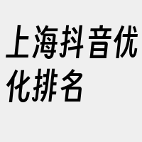 上海抖音优化排名