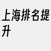 上海排名提升