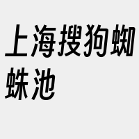 上海搜狗蜘蛛池