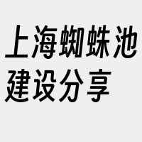 上海蜘蛛池建设分享