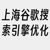 上海谷歌搜索引擎优化