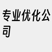 专业优化公司