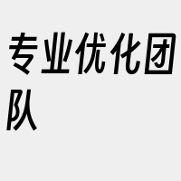 专业优化团队