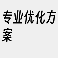 专业优化方案