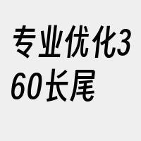 专业优化360长尾