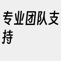 专业团队支持