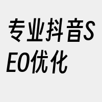 专业抖音SEO优化