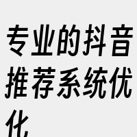 专业的抖音推荐系统优化