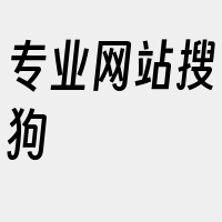 专业网站搜狗