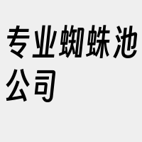 专业蜘蛛池公司