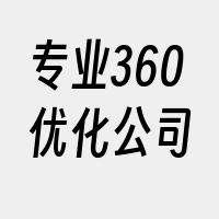 专业360优化公司