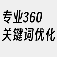 专业360关键词优化