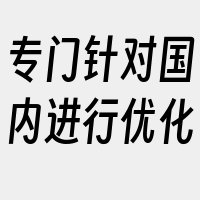 专门针对国内进行优化