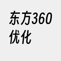 东方360优化