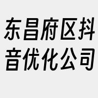 东昌府区抖音优化公司