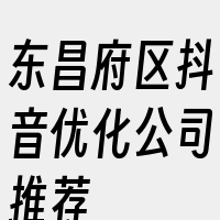 东昌府区抖音优化公司推荐