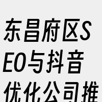 东昌府区SEO与抖音优化公司推荐