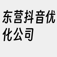 东营抖音优化公司