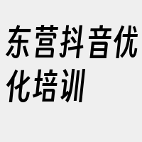 东营抖音优化培训