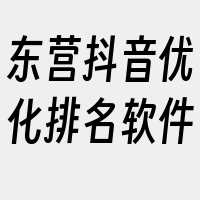 东营抖音优化排名软件