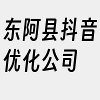 东阿县抖音优化公司