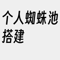 个人蜘蛛池搭建