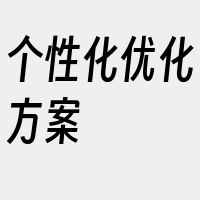 个性化优化方案