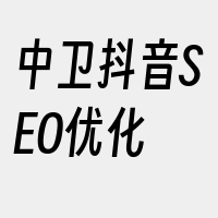 中卫抖音SEO优化