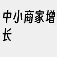 中小商家增长