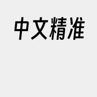 中文精准