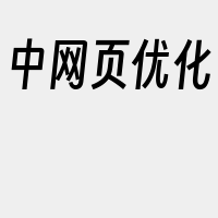 中网页优化