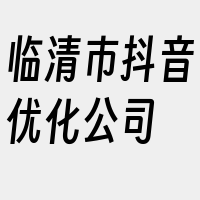 临清市抖音优化公司