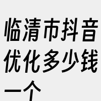 临清市抖音优化多少钱一个