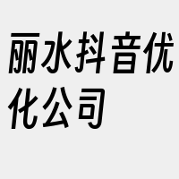 丽水抖音优化公司