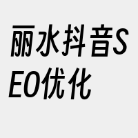 丽水抖音SEO优化