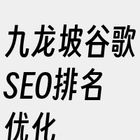 九龙坡谷歌SEO排名优化