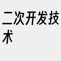 二次开发技术