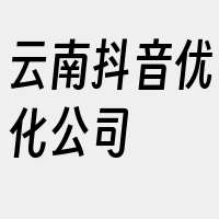 云南抖音优化公司