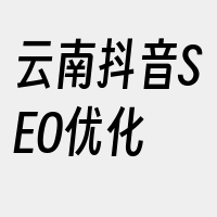 云南抖音SEO优化