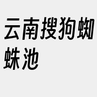 云南搜狗蜘蛛池