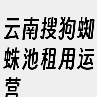 云南搜狗蜘蛛池租用运营