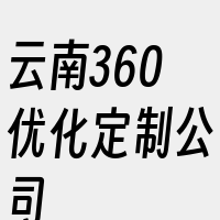 云南360优化定制公司